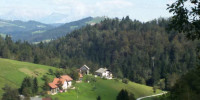 ŠVN - Medvedje Brdo (4. r) 2014