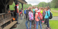 ND - 4. razred (posest Brdo)