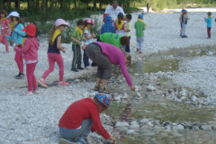 ŠVN za 1. razred 2015 (Kranjska Gora)